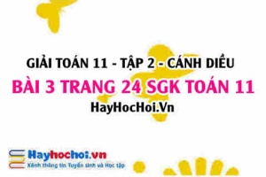 Bài 3 trang 24 Toán 11 tập 2 Cánh Diều